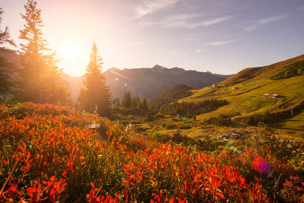 20191011-_DSC7871-Edit-Edit